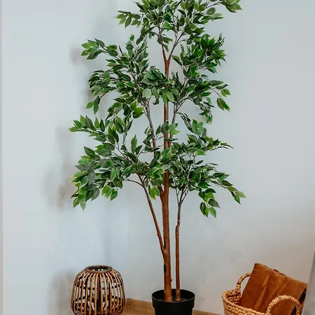 Appartamento Avenue Center Sea Garden *